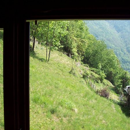 Appartamentino Nel Bosco Sondrio Exteriér fotografie
