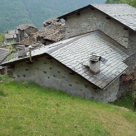 Appartamentino Nel Bosco Sondrio Exteriér fotografie